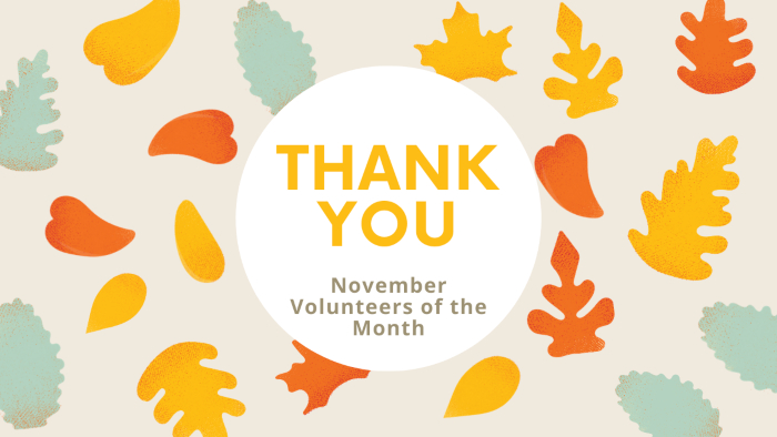 Fall-themed graphic with text reading, Thank You, AMA Cincinnati Volunteers of the Month